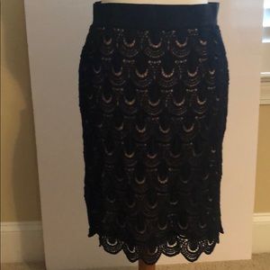 Ann Taylor Skirt